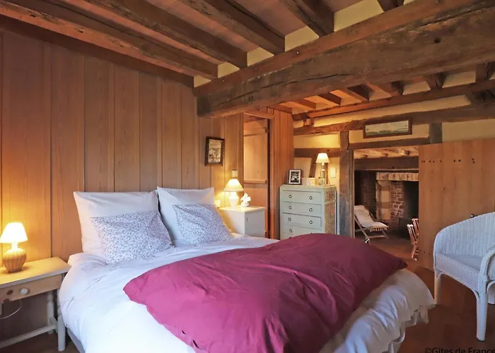 Chaumiere Typique Avec Cheminee Et Jardin, Animaux Acceptes - Fr-1-497-202