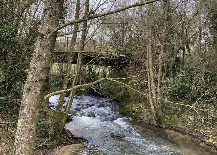 Ferienhaus Chaumiere Typique Avec Cheminee Et Jardin, Animaux Acceptes - Fr-1-497-202 Saint-Évroult-de-Montfort